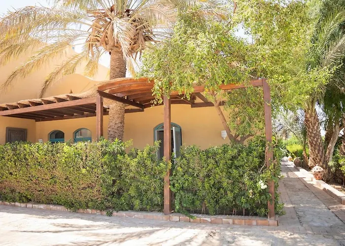 The Downtown Oasis I Nesty Hospitality